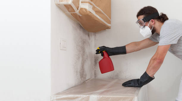 Professional Bathroom Mold Removal technician working in Monmouth Beach, NJ